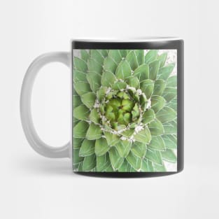 Plant print, Cactus print, Succulent, Scandinavian print, Trendy print, Styled, Pillow, Modern art, Wall art, Print, Minimalistic, Modern Mug